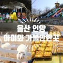 영남알프스 복합웰컴센터 영상체험관 이미지