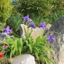 창기2리 마을회관 이미지