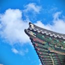 태안시니어클럽 | 태안골프장 완벽 리뷰와 예약부터 코스별 공략법까지 실제 경험담으로 알려드려요 9월 9일