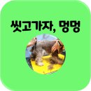 씻고가자,멍멍 이미지