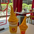 아이스크림 이미지