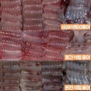 최고집푸드 Daum카페