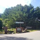 문화광장길 이미지