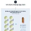 티그린 - 수원시 팔달구 아주로 7 | 티그린