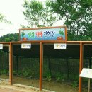 인삼랜드 휴게소(하) 이미지