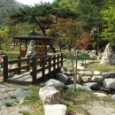 양평힐링계곡 오토캠핑장 이미지