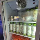 손씨농장 | 제주 서귀포 카페 추천 어린왕자감귤밭 제주 체험 농장 방문 후기(내돈내산)