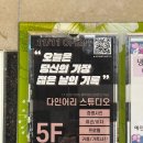 인계동사진관 증명사진부터 프로필까지 만족했던 다인어리스튜디오 수원점 후기 📸