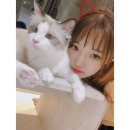 추
