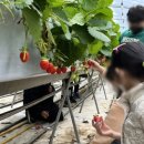 곡성유치원 이미지