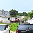 조은국수 - 고양시 덕양구 혜음로 168 | 조은국수