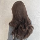 헤어퍼플 이미지