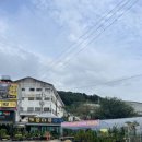 키움꽃조경