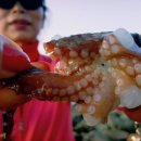 해넘이바다 이미지