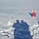 ❄️렛잇고❄️