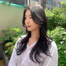 이란헤어 - 정읍시 | 이란헤어