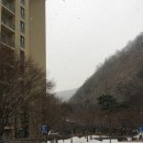 곤지암리조트 디럭스룸 취사형, 눈썰매장 후기