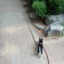 종로-연건-종로-연-272 | 나의 일상 ⑥월 ①탄o(*°▽°*)o 이태원실비디스코, 다산생태공원, 그리고 내 생일🎂