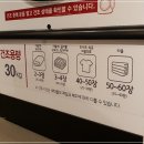 워시테리아 이미지