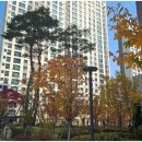 고산수자인123단지공인중개사사무소 | 고산듀클래스·고산라피네트에서 누리는 의정부 신도시 라이프, 실제로 살아본 솔직 후기🌿✨