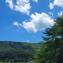 아란농장 이미지