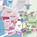 장미유치원 | 서울대공원 장미축제 미리 다녀온 후기🌹 장미원부터 동물원까지!