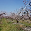 왕장1리 이미지