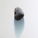이영인