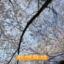 용인중앙공원_M 이미지