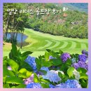 리더스골프존 | 경남 밀양 리더스 CC 골프장 후기, 가성비 좋고 잔디 상태도 좋아요