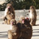 옹기종기 이미지