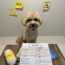 청라유치원 이미지