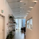 예인헤어샵 | 차홍룸 신논현점 이예인디자이너 | 톤다운 염색 • 긴머리 레이어드컷 가격 및 후기