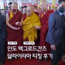 라마 | 여자혼자 해외여행 인도 다람살라 맥그로드간즈 달라이라마 법회 티칭 후기