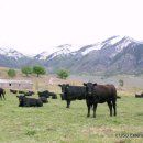 우용산업 이미지