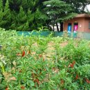 금당어버이집 이미지