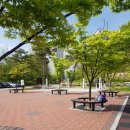 속초시생활체육공원 이미지