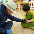 생극초등학교 이미지