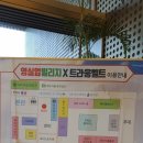 아이레벨트라움벨트 | 영실업빌리지 트라움벨트 체험 후기