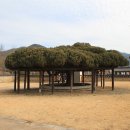 신비로-3 오마이뉴스