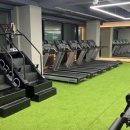 몬스짐 갤러리아점 이미지