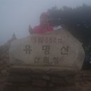 산야원 이미지