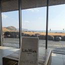 제주도 산방산 근처 바다뷰 제주 라이프워크 카페 후기