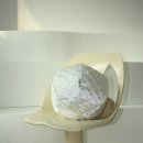 리빙클럽 이미지