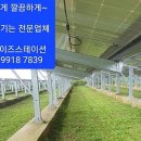 넝쿨 태양광발전소 이미지