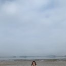 하늘담은바다펜션