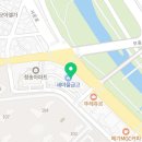 퍼피댕 강아지분양 안심분양소 청주점 말티푸미니비숑토이푸들 | 청주에서 만나는 사랑스러운 반려동물 - 퍼피댕의 투명한 분양 절차