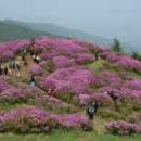 수덕관광(주)