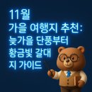 애월체육공원 | 11월 가을 여행지 추천: 늦가을 단풍부터 황금빛 갈대까지 가이드