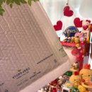 책고양이 | ㅣ 묘책 ㅣ 집사를향한 고양이의 마음이 담긴 책, 박연준 작가님의 '고양이에 관한 에세이' 후기